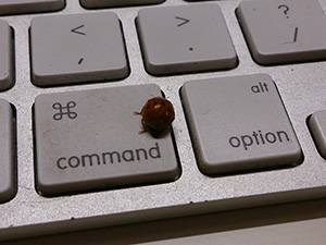 Ladybug Keyboard